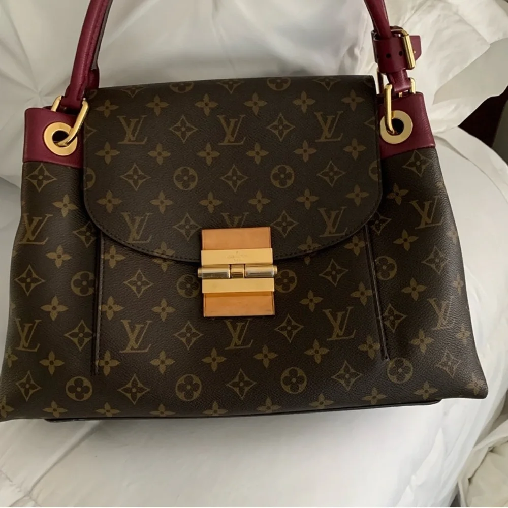 Louis Vuitton Brown and Burgundy Shoulder Bag